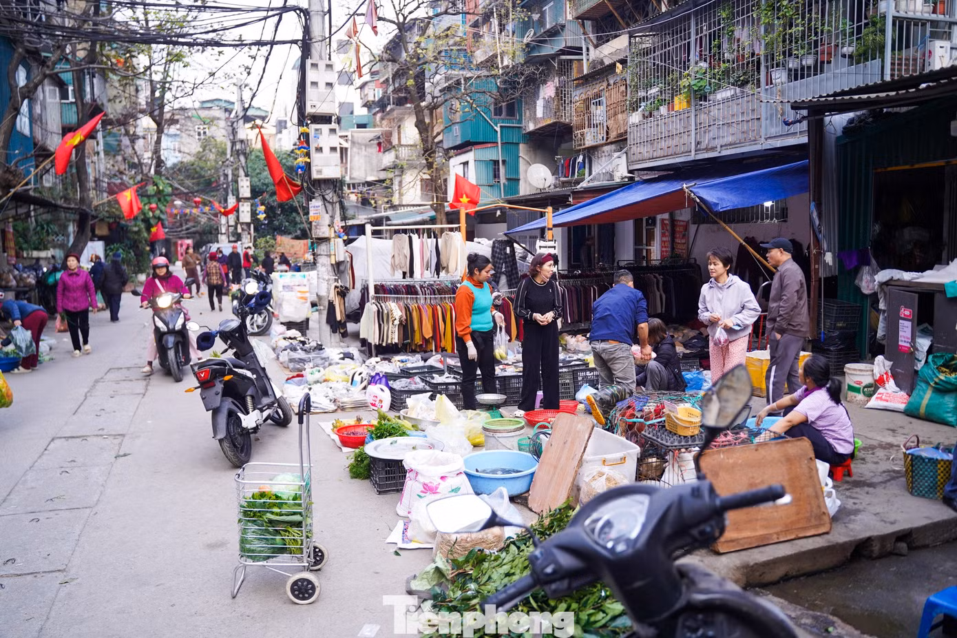 tp-baotienphong-277.jpg