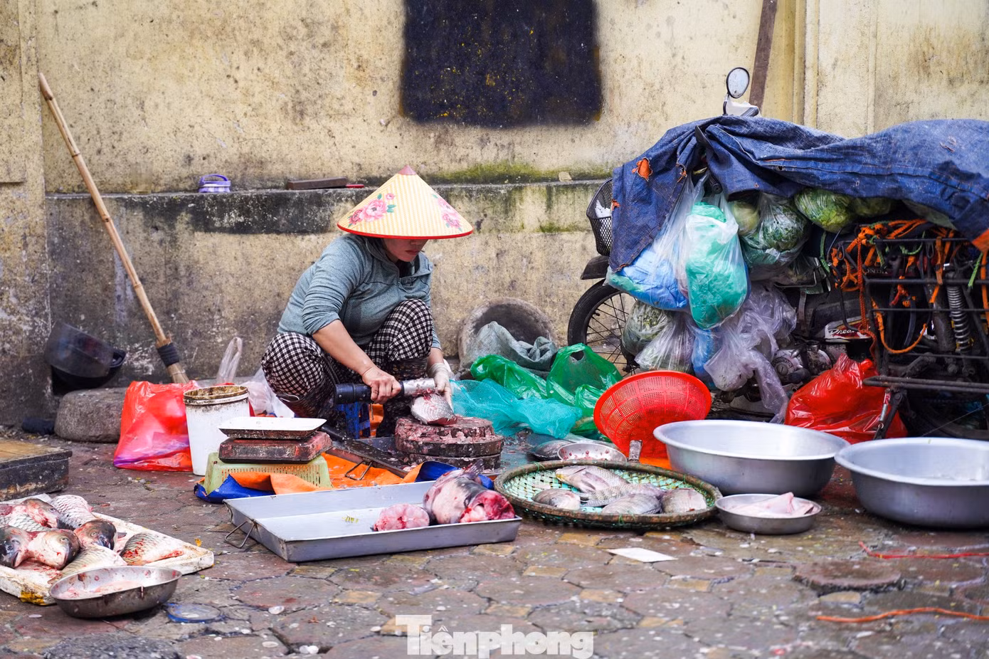 tp-baotienphong-297.jpg