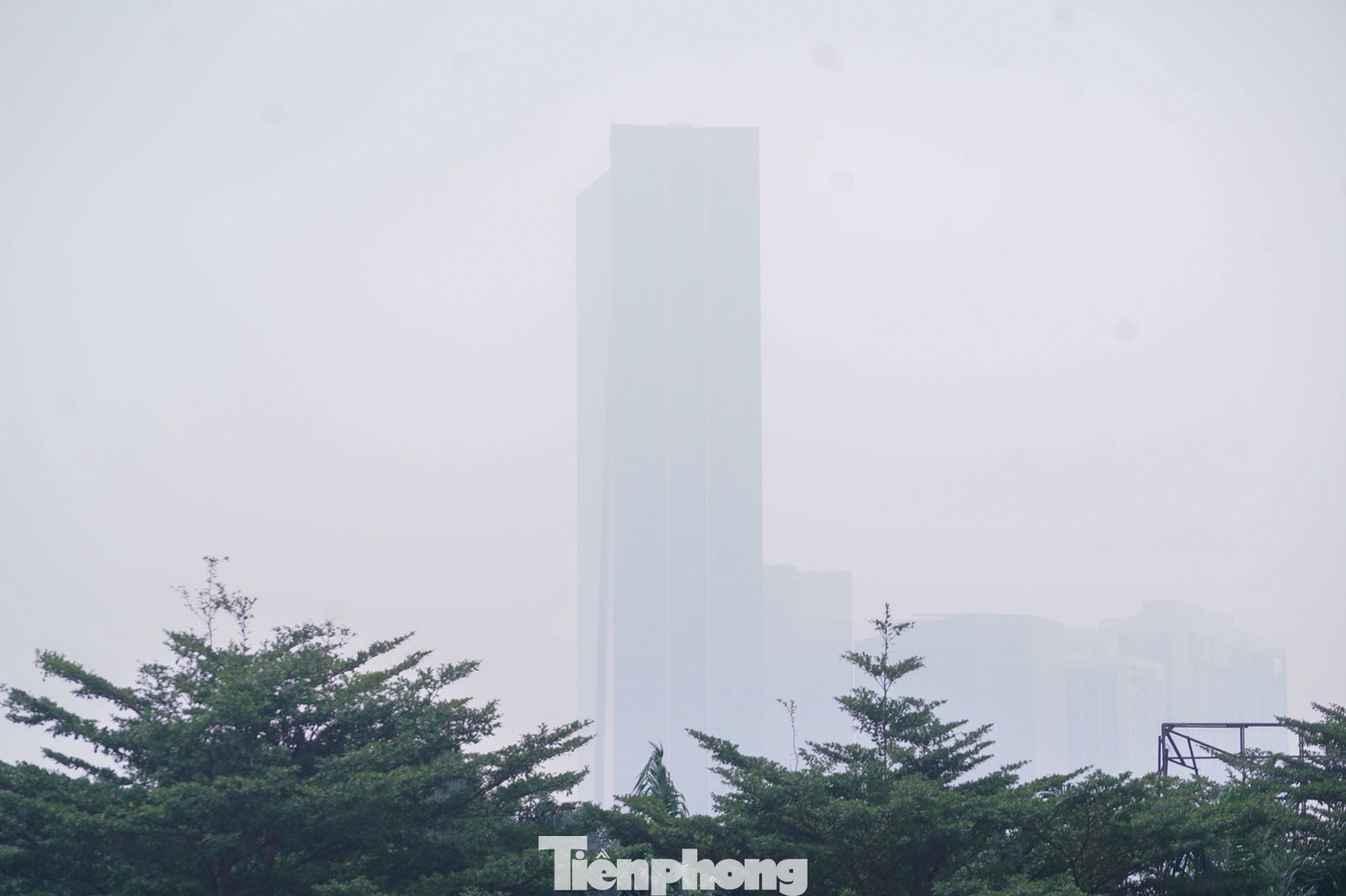 tp-tienphong-799.jpg