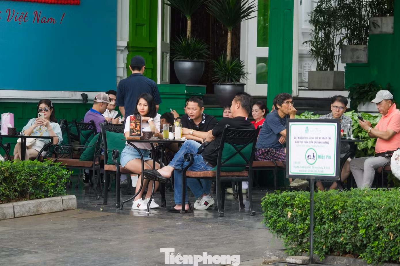 tp-gthongz-8-7200.jpg