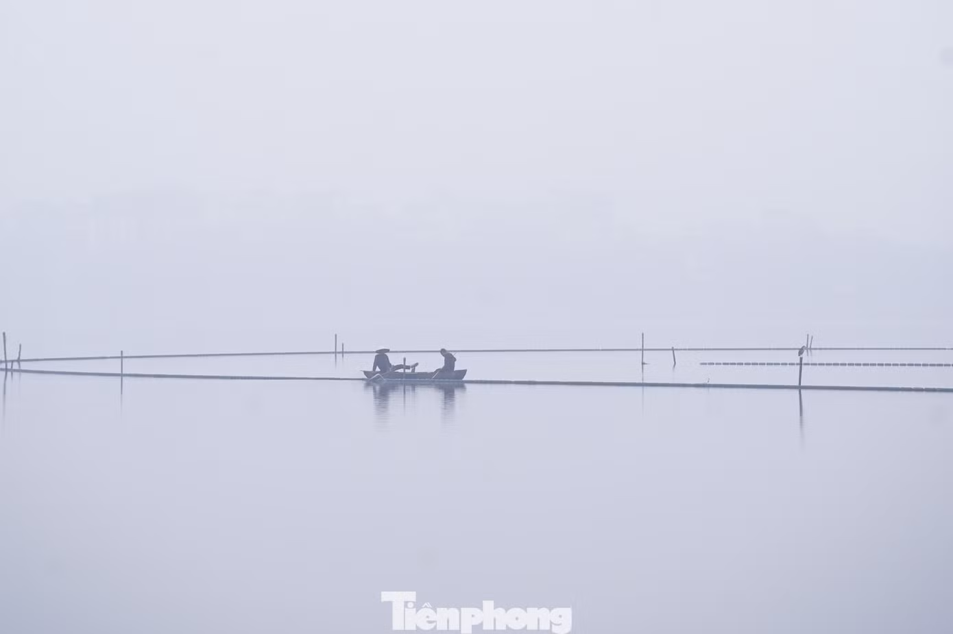tp-baotienphong-219.jpg