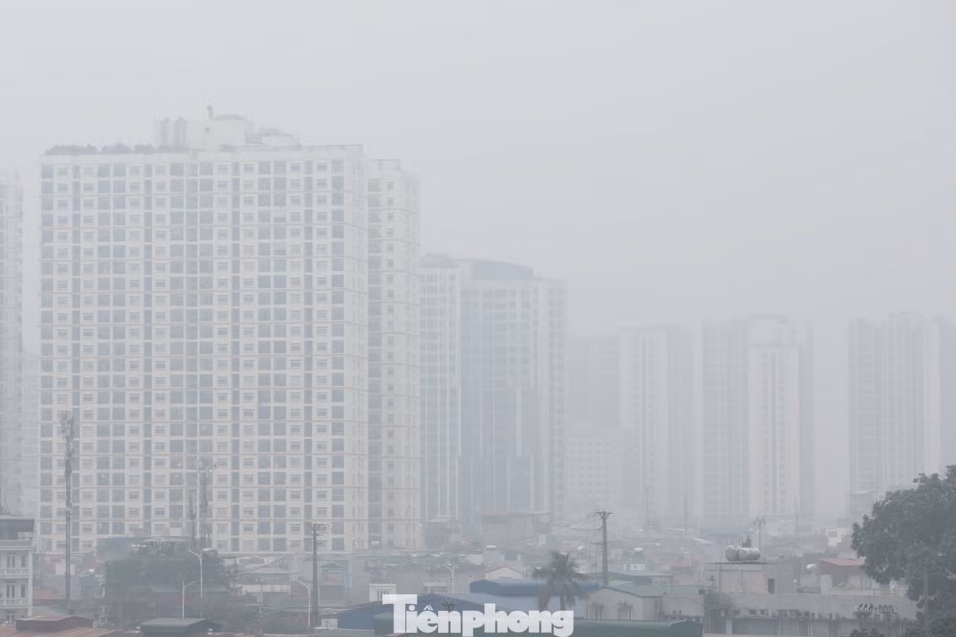 tp-baotienphong-228.jpg