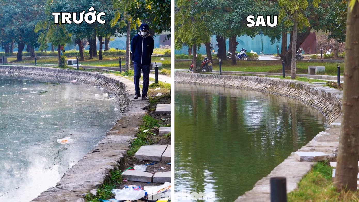 tp-c.jpg