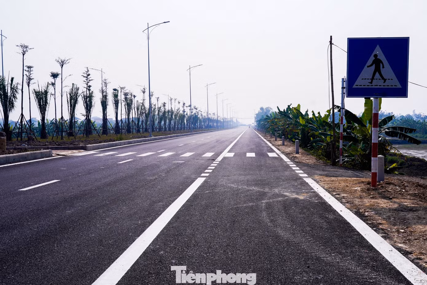 tp-tienphong-1414.jpg