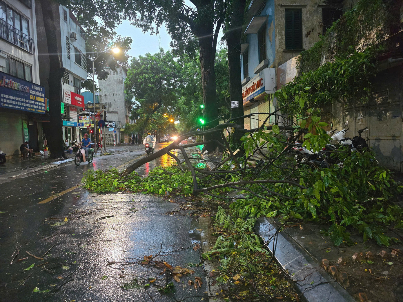 Nhiều tuyến đường ngay sau đó đã bị ngập, cây cối bị đổ sau cơn mưa. Sau khi mưa lớn khoảng gần 1 tiếng bắt đầu giảm. z6820839759159-22357f2e5d45ec6edcf6c6d402940c63.jpg