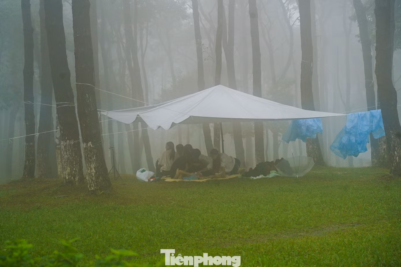 tp-tienphong-420.jpg