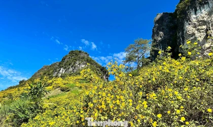 Tới Cao Bằng mùa này, du khách thốt lên: 'Đứng góc nào cũng có ảnh đẹp'