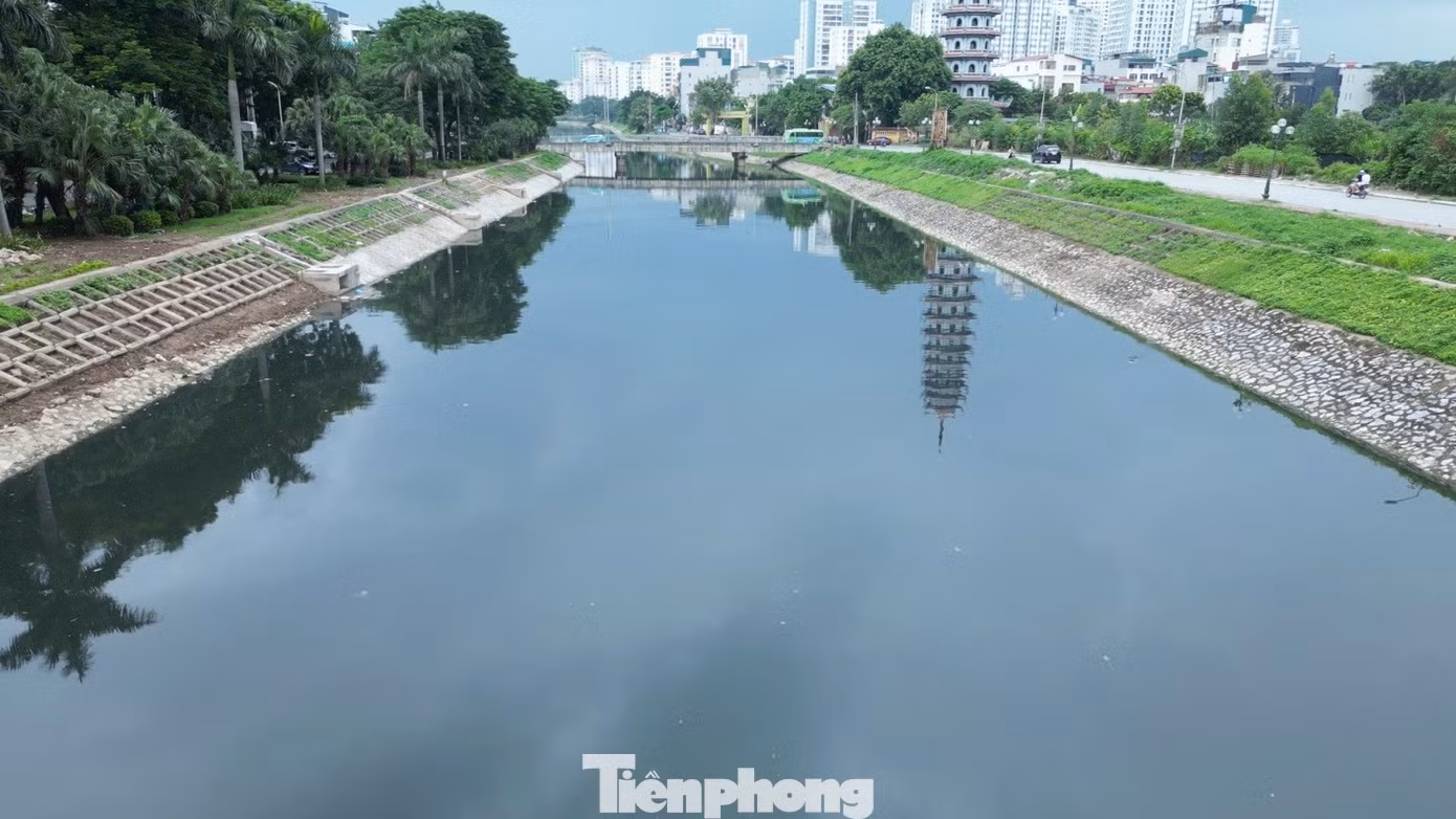 tp-2.jpg