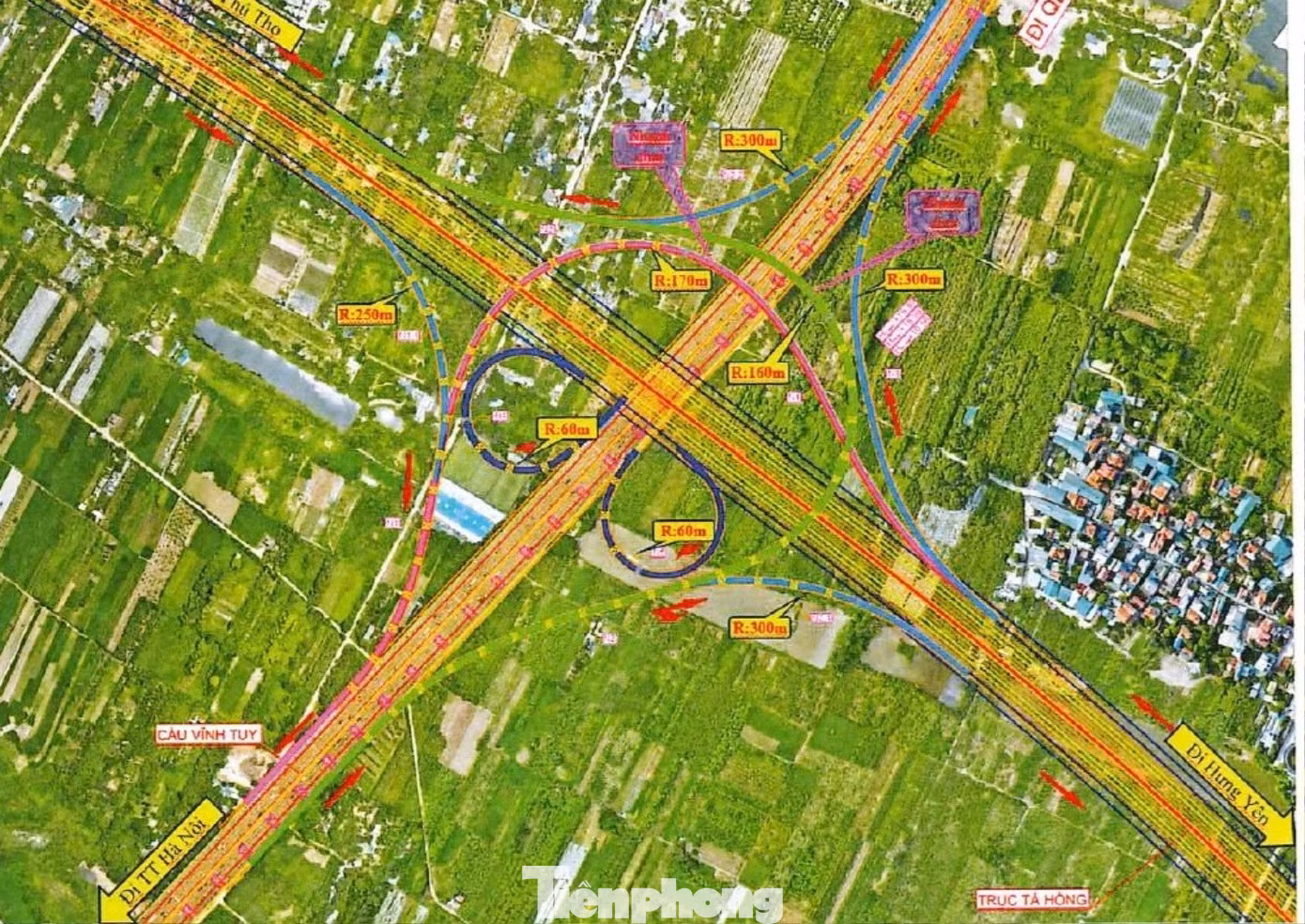 tp-2.jpg