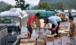 Kéo dài thời gian tạm ngưng hiệu lực Nghị định 46 và Nghị quyết 66.13 về an toàn thực phẩm