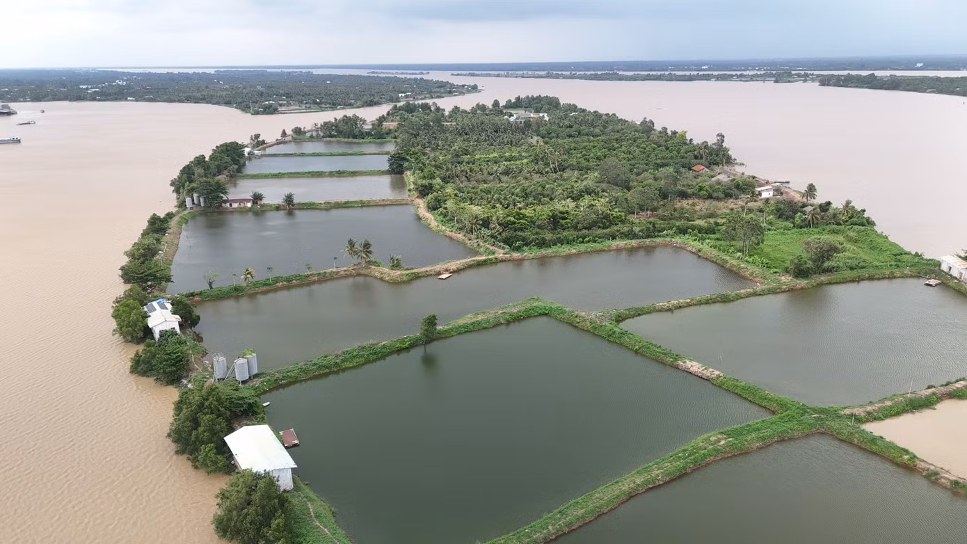 dji-20260729134054-0047-d.jpg