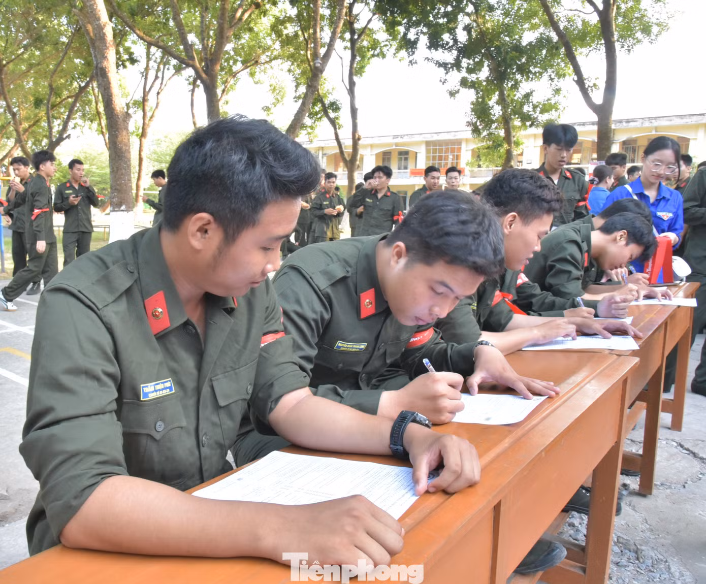 tp-13.jpg