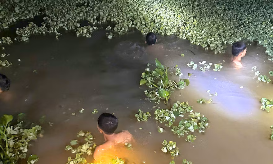 Bé gái mất tích, tìm thấy thi thể dưới ao nước gần nhà