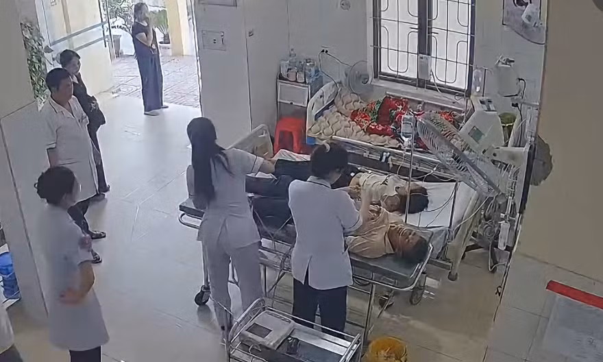 Hai vợ chồng bị ong tấn công, bác sĩ gỡ 49 con ong trên đầu người vợ