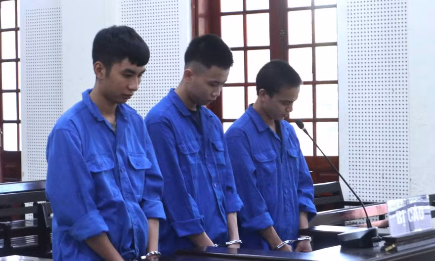 Bí mật trong chuồng gà khiến gã trai 20 tuổi lĩnh án 16 năm tù
