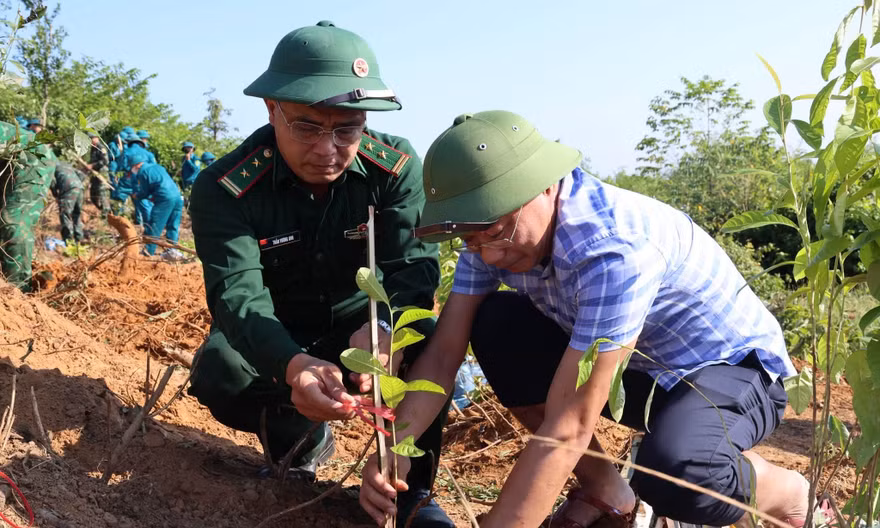 Gần 300 người tham gia trồng cây, phủ xanh rừng phòng hộ