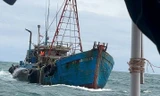 Hàng loạt tàu cá vi phạm IUU bị xử phạt tổng cộng hơn 700 triệu đồng