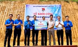 Sôi nổi chiến dịch Kỳ nghỉ hồng, Mùa hè xanh ở Tuyên Quang
