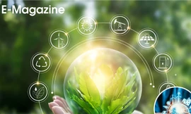 Các nước hình thành Quỹ tiết kiệm năng lượng thế nào?