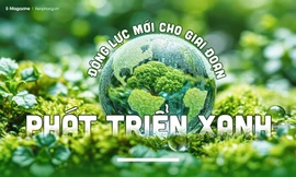 Động lực mới cho giai đoạn phát triển xanh