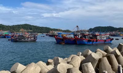 Phát hiện nhiều khu neo đậu tàu cá ở Quảng Ninh xuống cấp