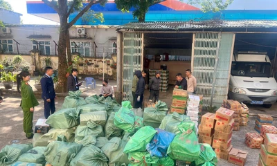 Phát hiện kho xúc xích, chả mực không rõ nguồn gốc ở Móng Cái