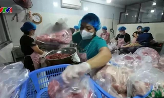 Rà soát hàng trăm trường học ở Hà Nội liên quan thịt lợn bệnh trong bữa ăn của học sinh