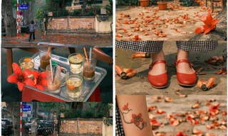 Ngắm loạt ảnh mùa cây thay lá, hiểu vì sao Hà Nội lọt top 50 thành phố đẹp nhất thế giới