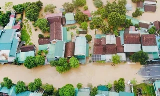 Giải mã về tên gọi của cơn bão số 4 CO-MAY (Cỏ may) do Việt Nam đặt tên