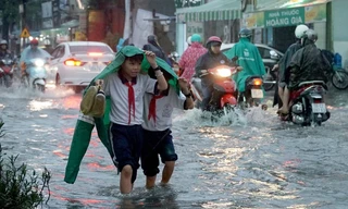 Nhiều trường tại Hà Nội cho học sinh, sinh viên nghỉ gấp để tránh bão số 3 Wipha
