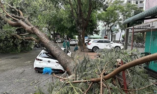 Hà Nội khuyến cáo người dân hạn chế ra đường khi bão số 9 Ragasa tiến sát