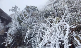 Du khách có thể “săn tuyết” ở miền núi phía Bắc dịp nghỉ Tết Dương lịch 2026