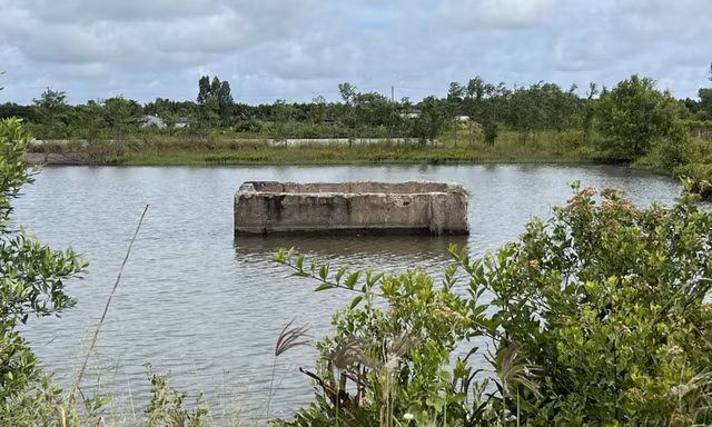 Mô hình ‘Ngân hàng đất’ chưa có tiền lệ ở Cà Mau bị thất bại