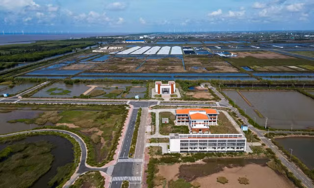 Thanh tra toàn diện khu công nghệ cao phát triển tôm Bạc Liêu 