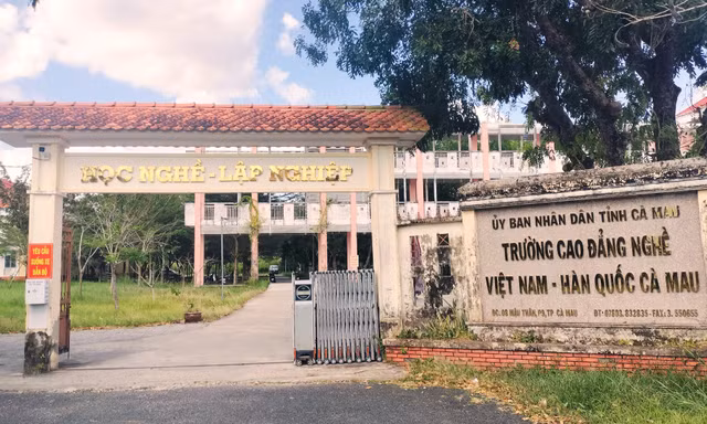 Cà Mau trình phương án sáp nhập 4 trường cao đẳng