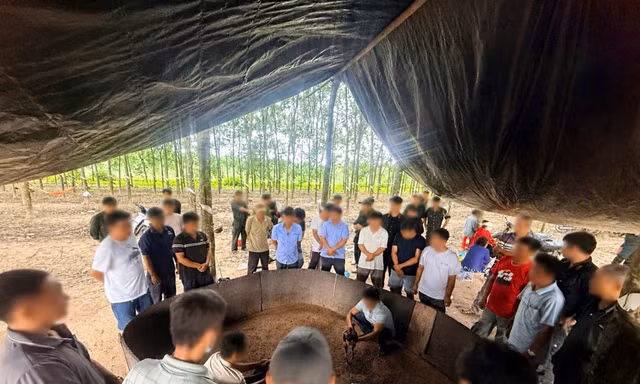 Sới đá gà 'nhóm họp định kỳ' giữa vườn cao su ở Tây Ninh