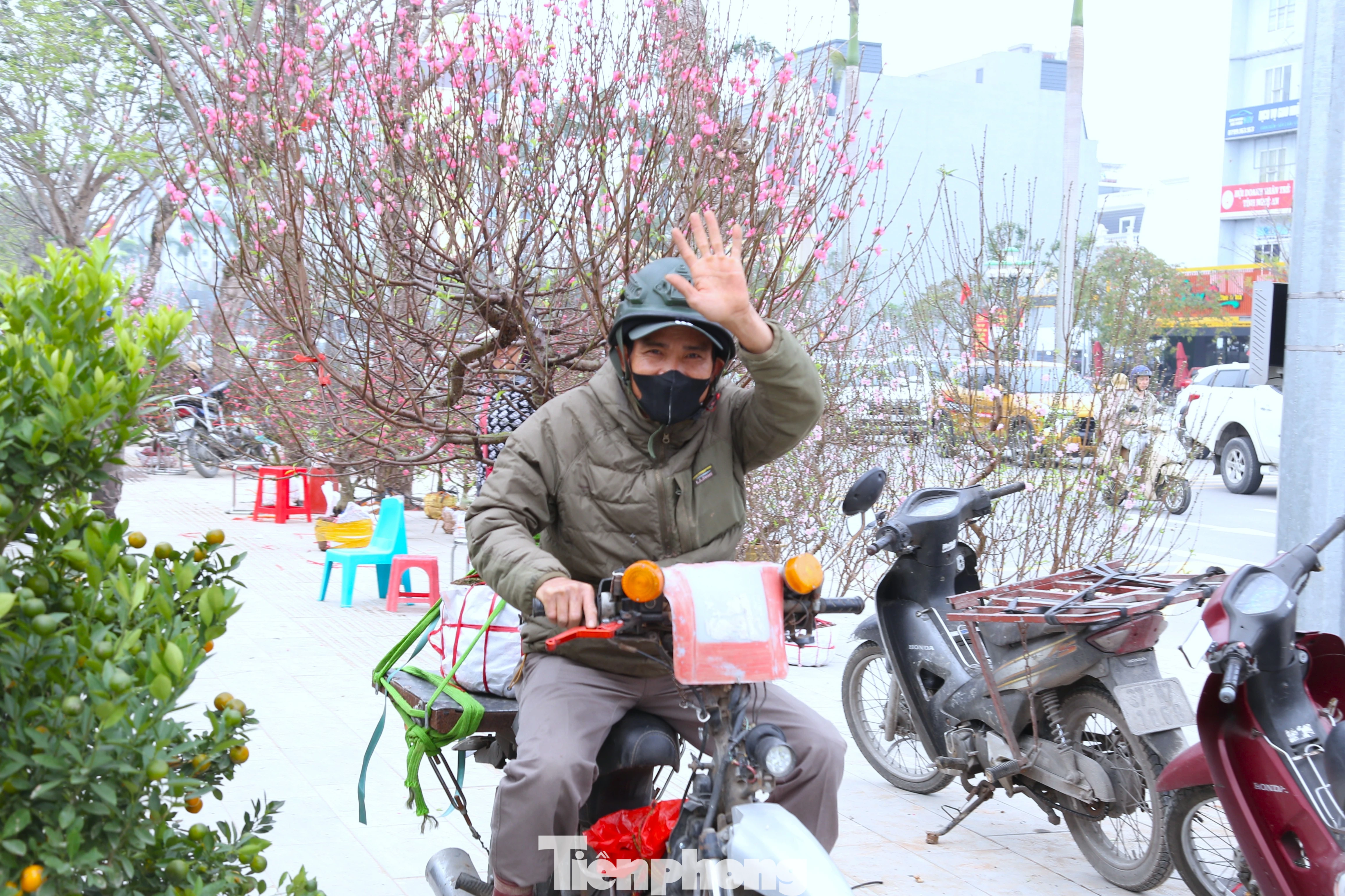 Nghề chở cây cảnh Tết ở Nghệ An: Mưu sinh trong không khí xuân
