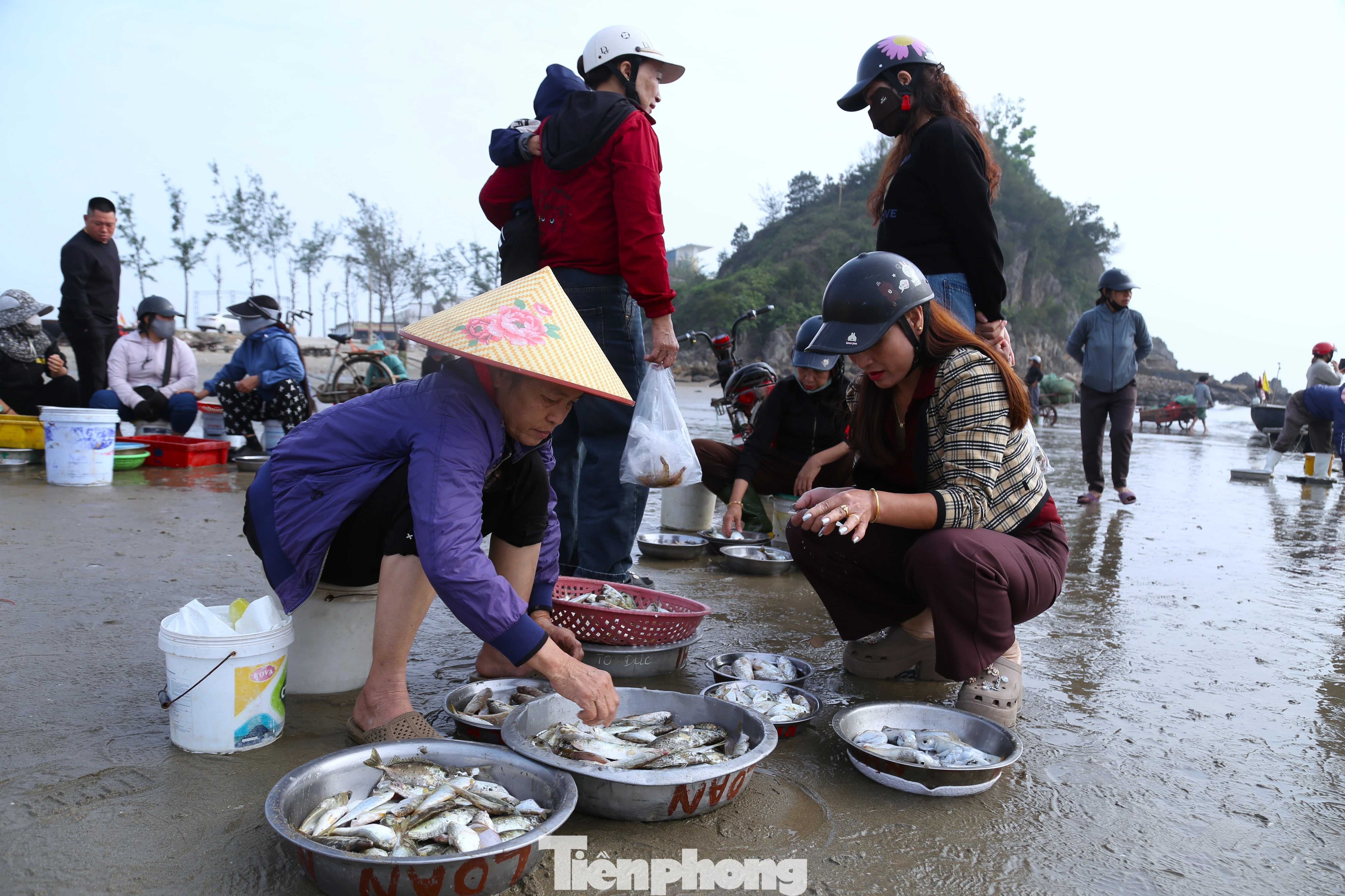 Chợ hải sản Cửa Lò nhộn nhịp ngày đầu năm, ngư dân phấn khởi đầy khoang