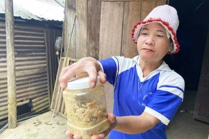 Hé lộ nguyên nhân món cá ủ chua khiến 3 trẻ ở Đà Nẵng nguy kịch phải nhờ sự trợ giúp từ WHO 