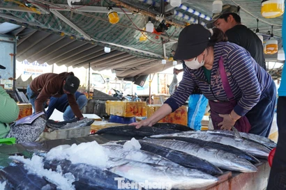 27 Tết: Cá thu giá 'chát' vẫn bán vèo vèo