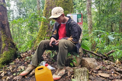 Ngược núi lên đỉnh Ngọc Linh ‘ăn Tết với sâm’