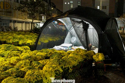 Nghìn lẻ kiểu trải chiếu, chong đèn trông hoa Tết