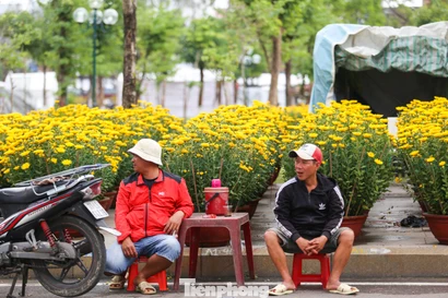 Hoa Tết chất ngập phố, tiểu thương 'đứng ngồi không yên' 