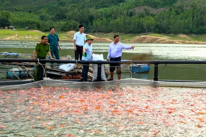Gắn bó ‘sông nước’, nông dân miền núi ở Gia Lai vươn lên thoát nghèo