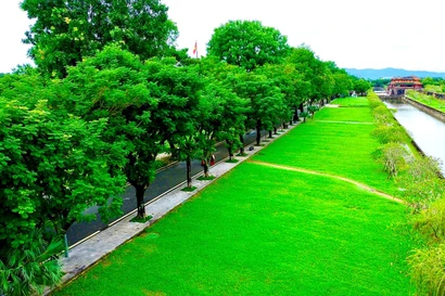 Huế số hóa cây xanh đô thị