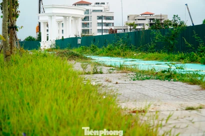 Ai quản vỉa hè, công viên, đường đạp xe thuộc dự án đô thị xanh nghìn tỷ ở Huế?