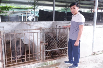 Người trẻ 'đánh thức' vùng đất hoang bằng nông nghiệp tuần hoàn