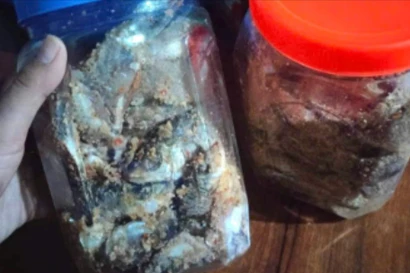  3 trẻ ở Đà Nẵng nhập viện cấp cứu sau khi ăn cá ủ chua