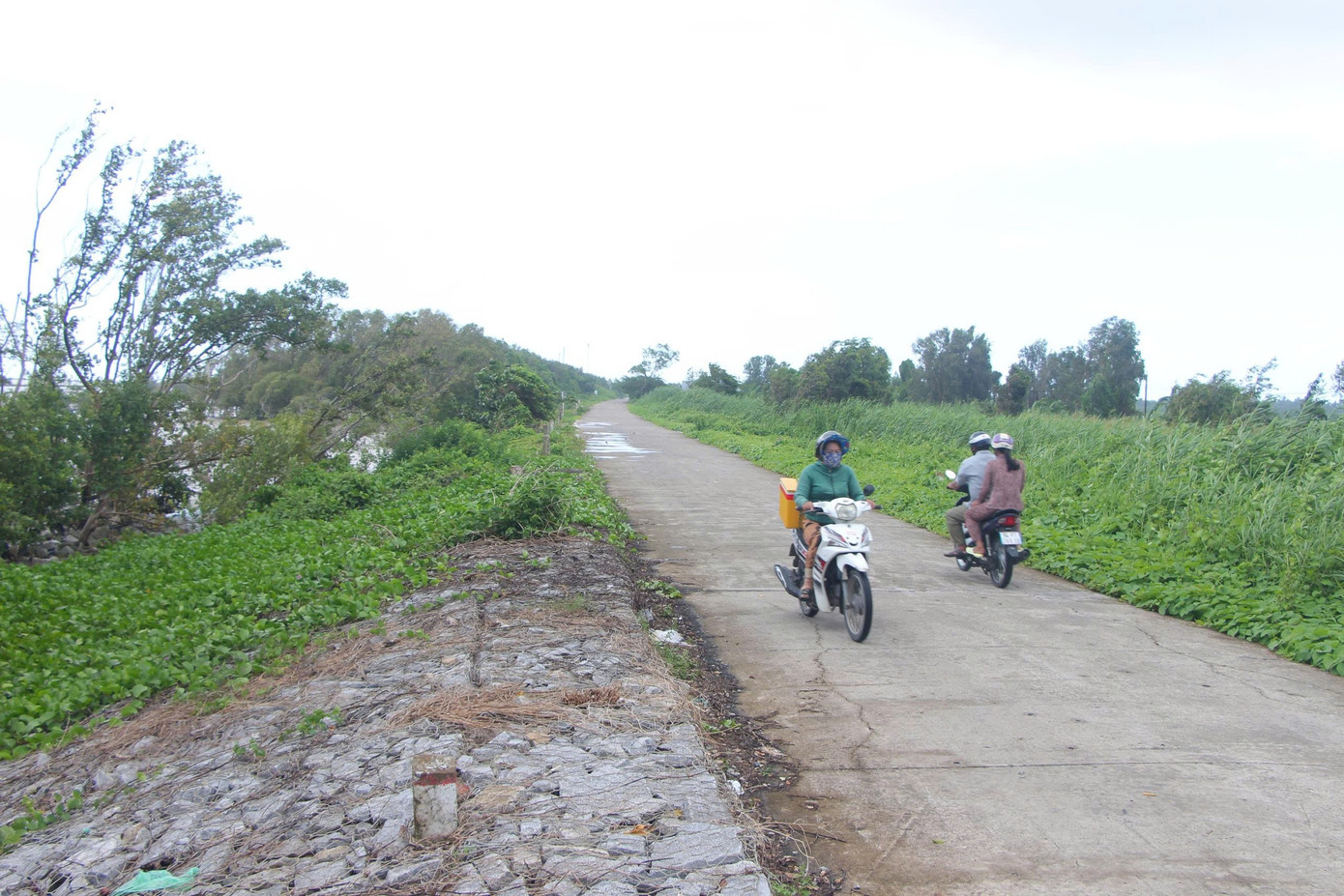 Đê biển Tây trên địa bàn tỉnh Cà Mau dài hơn 108km, có vai trò phòng thủ xung yếu bảo vệ sản xuất và đời sống người dân bên trong, đặc biệt vùng ngọt hóa đang canh tác 2 vụ lúa, nuôi cá đồng và rừng tràm Vườn Quốc gia U Minh Hạ. 1.jpg