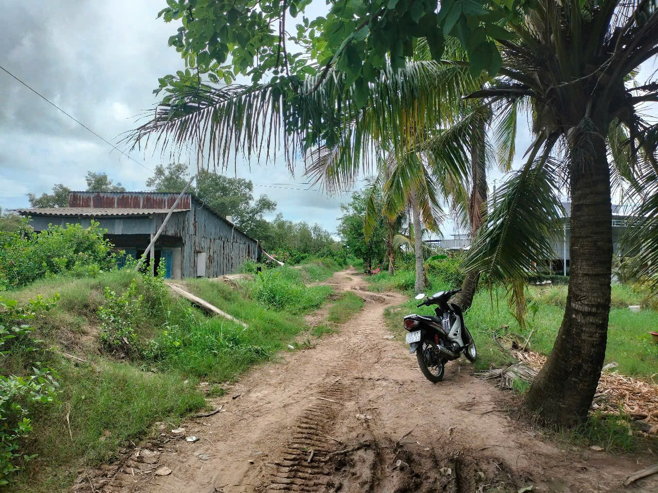 Cà Mau đã trình Trung ương xem xét đầu tư từng bước khép kín đê biển từ Tây sang Đông, để đảm bảo quốc phòng, phát triển sản xuất tại địa phương. 5.jpg